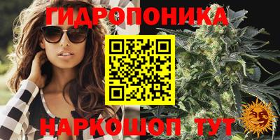 трава Сланцы