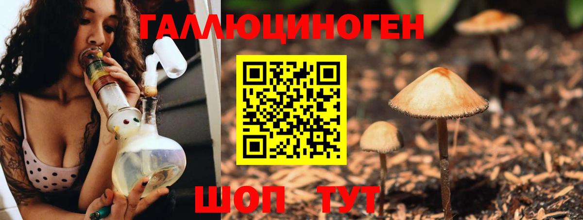 Псилоцибиновые грибы Psilocybine cubensis Батайск